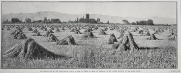 The Fertile Soil Of The Marlborough Plains Image: The Fertile Soil Of The Marlborough Plains