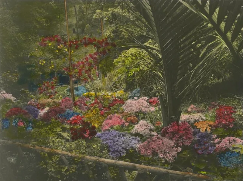 Gardens, McLean Residence, Napier