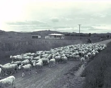 Image: East Coast trip.