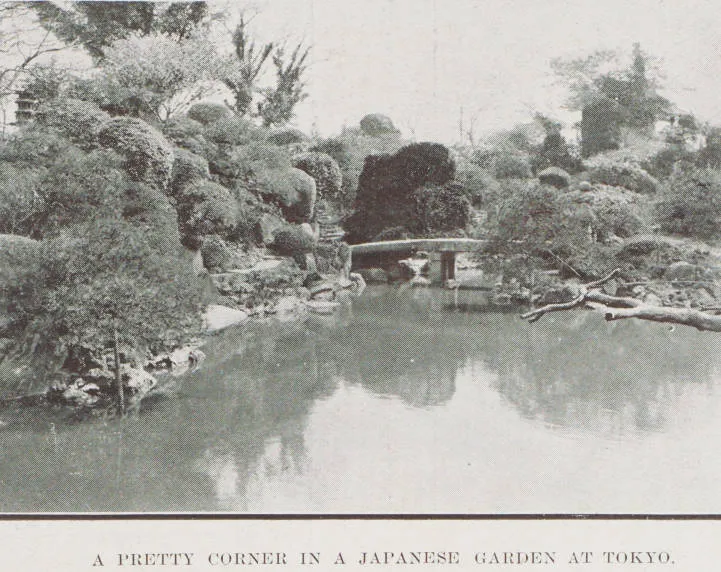 A pretty corner in a Japanese garden at Tokyo