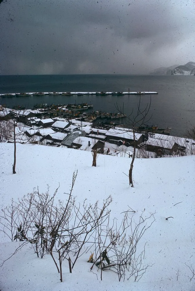 Japan Series: Furubira