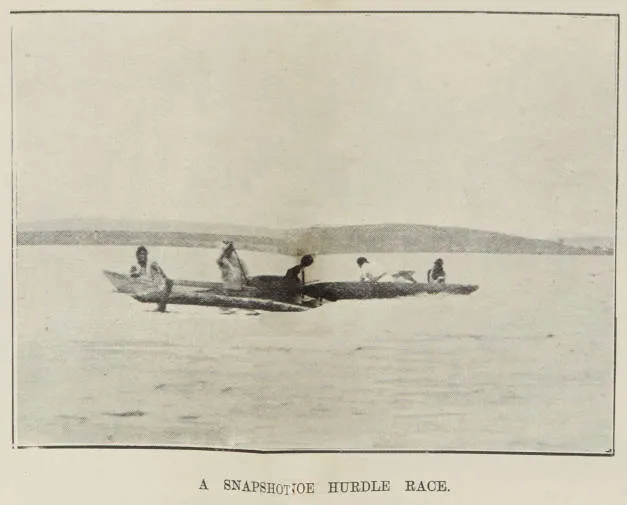 A snapshot [of the ] hurdle race