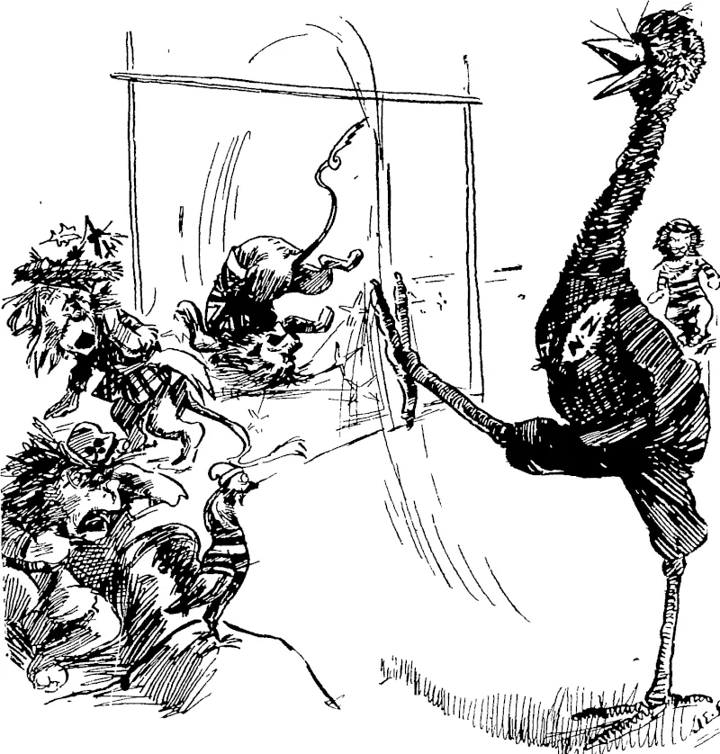 KICKED OUT'  The British Lion : By Jove '  The Scottish Ditto : Whit wey, mon ?  The Irish Ditto : Begorra !  TJie Welsh Ditto • Pwlghrqsklrslleyelynn !  Cc Beau Rooster: Ces diables!  The Moa : My word ! Three of the Old Country lions knocked out, and only the Welsh lion and the French rooster left. Perhaps they'll admit now I  can play the game. (New Zealand Free Lance, 09 December 1905)