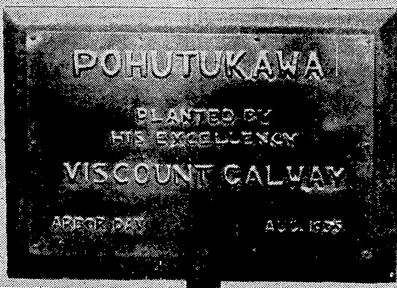 Evening Post"' Photo. TO MARK AN ARBOR DAY OCCASION.—One of the small identity} boards used to mark trees planted yesterday by Lord and Lady Galway in connection with the Arbor Day,planting in front of the site of the Carillon. (Evening Post, 08 August 1935)