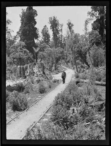Image: William Williams and a dog on a logging railway track within an unknown forest, Kakahi District, Manawatu-Whanganui Region