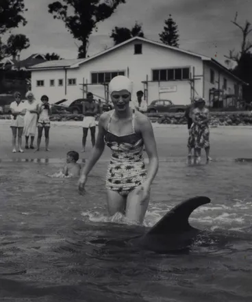 Image: Opo the dolphin, Opononi