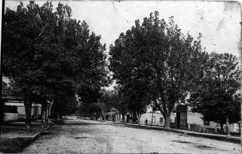 Grey Street, Hamilton East