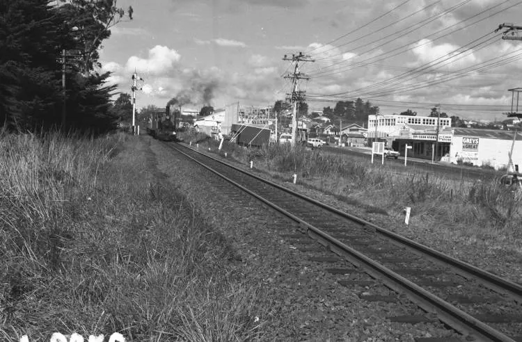 Steam train 'Meg Merrillies' at Glen Eden.