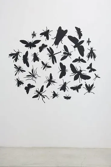 Flyers Image: Flyers