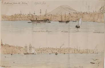 Image: Auckland from the Falcon.