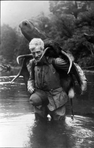 Image: Hunter and moose, New Zealand, date unknown