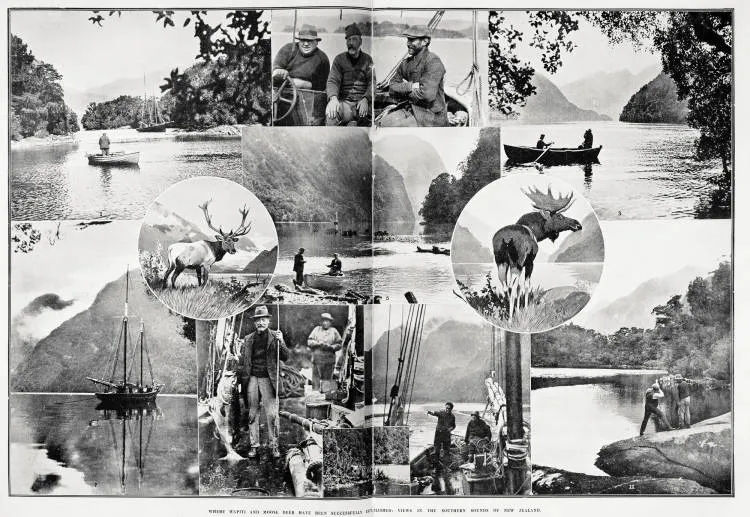 Where Wapiti and Moose Deer have been successfully established: views in the Southern Sounds of New Zealand