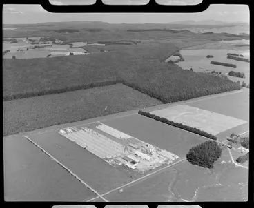 Image: Timber industry, Tokoroa