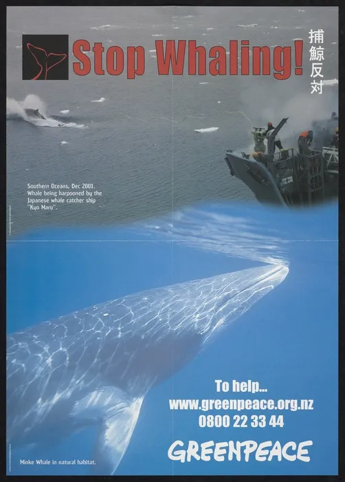 Greenpeace New Zealand: Stop whaling! Southern Oceans, Dec 2001. Whale being harpooned by the Japanese whale catcher ship "Kyo Maru"; Minke whale in natural habitat. To help ... www.greenpeace.org.nz 0800 22 33 44 Greenpeace [2002]