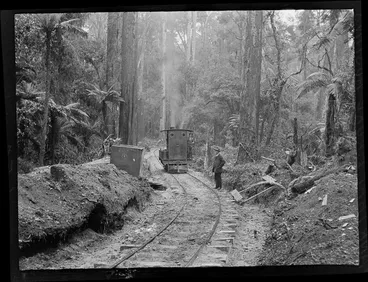 Image: William Williams and an unidentified workman driving a small steam train deep within an unknown forest, Kakahi District, Manawatu-Whanganui Region
