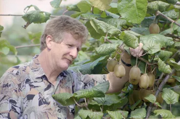 Image: Kiwifruit Orchardist Brian Calcinai, Waiohiki