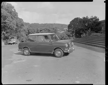 Image: Catts Patterson, Riley "Elf" at Art Gallery