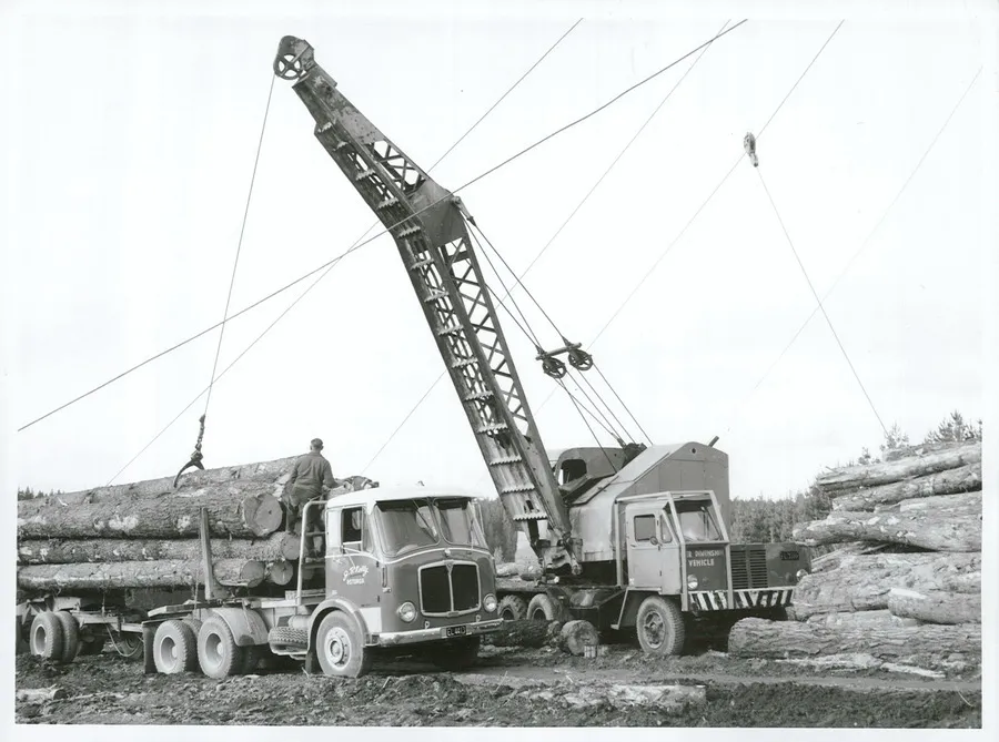 Forestry - Lumber - Loading