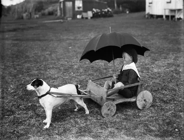 Image: Boy in dog-drawn cart
