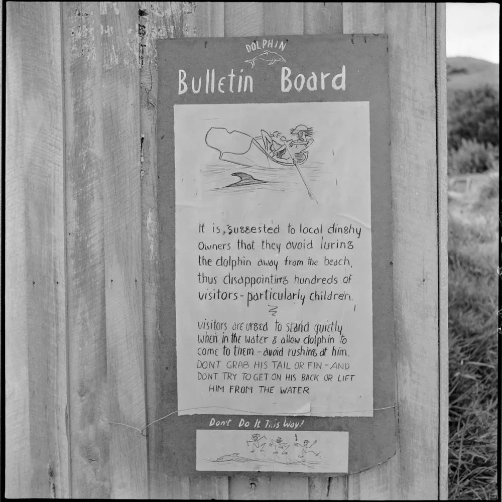 Opononi Bulletin Board