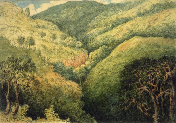 [Gold, Charles Emilius] 1809-1871 :Gullies formed by Earthquakes. Wellington New Zealand 1849