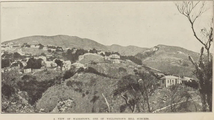 A view of Wadestown, one of Wellington's hill suburbs