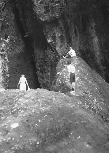 Image: Rocks below Cascade Falls, Cascade Kauri Park.