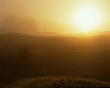 Image: Tongaporutu Coastline - landscape in early morning mist, 5 January 2004