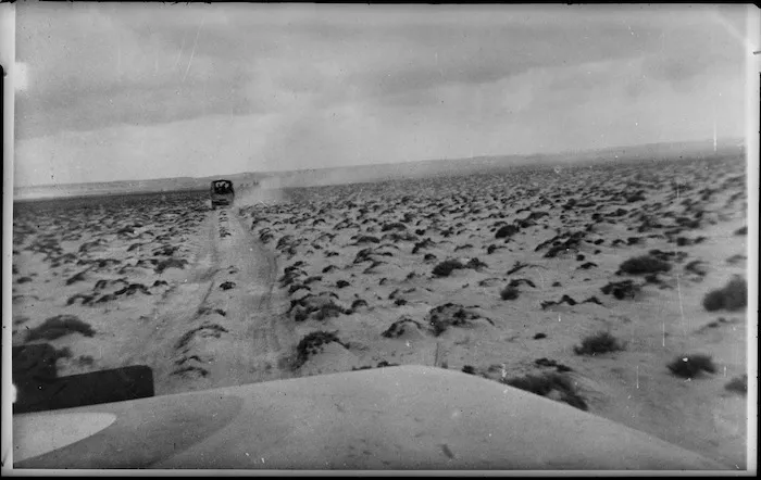 Typical tussock country, Egypt - Photograph taken by Captain Highet