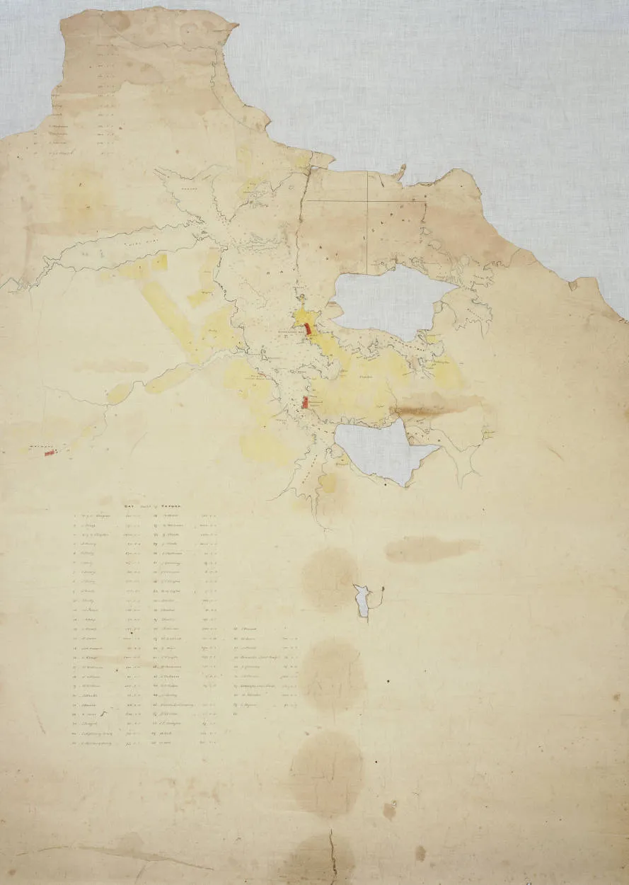 Map of Bay of Islands showing allotments