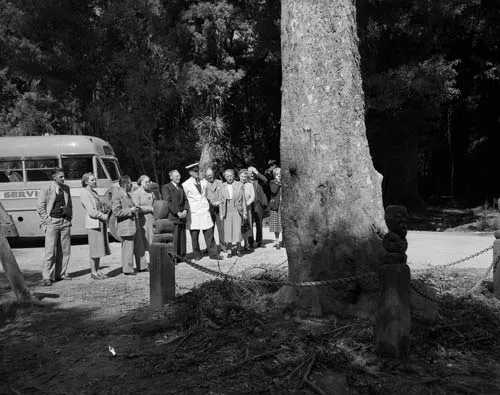 Wishing tree, Te Ara-o-Hinehopu