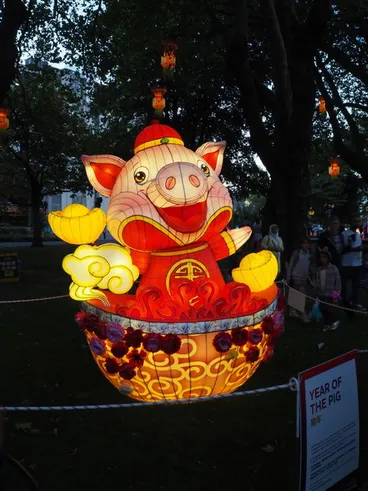 Image: Year of the Pig Lantern