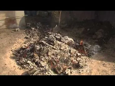 Matariki 2009 Image: Matariki 2009