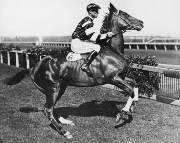 Image: Photograph - Jim Pike Riding Phar Lap at Derby Day, Flemington Racecourse, Victoria, 1930