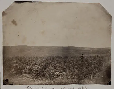 Paterangi from the advanced pickets. This photograph was taken under fire. New Zealand