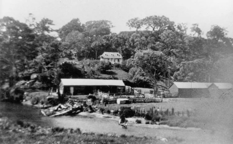 George and Margaret Vaughan's homestead at Long Bay.