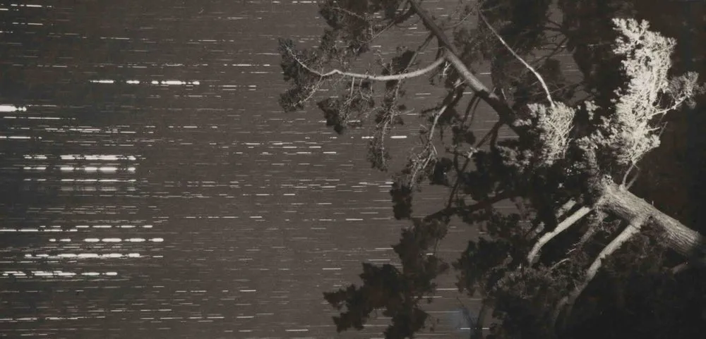 Night sky, Waimamaku Valley