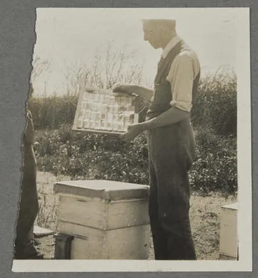 Image: [Percy Hillary]