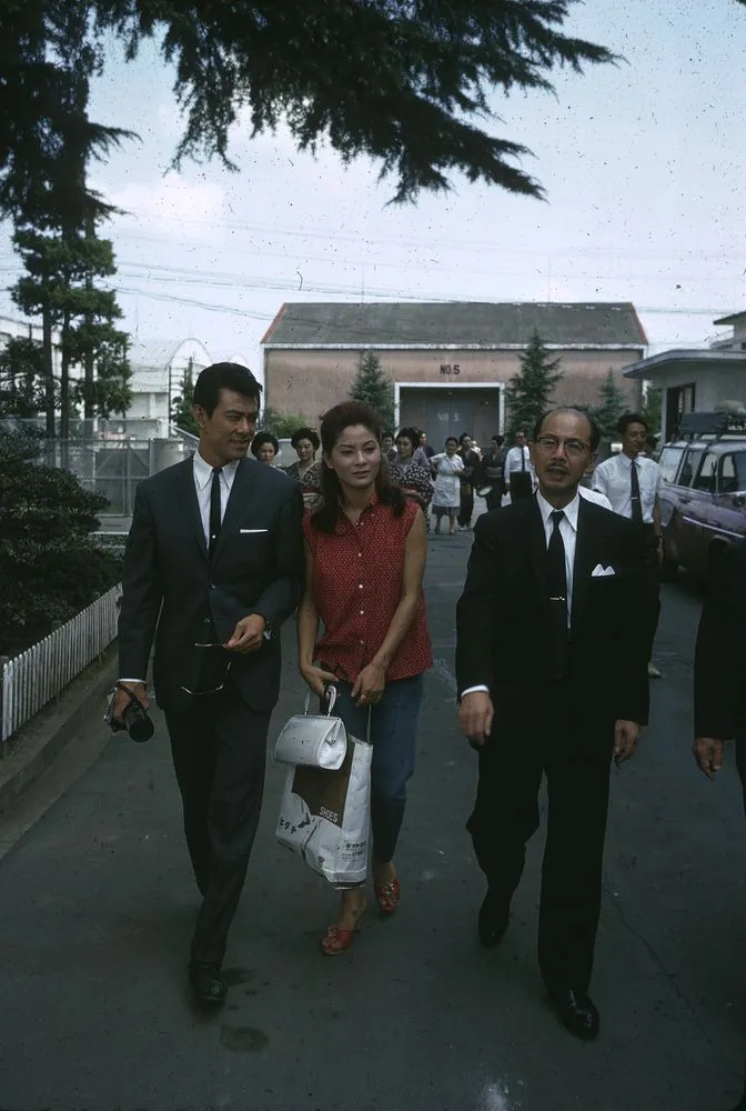 Japan Series: Movie Industries