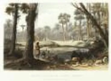 Image: Native village and cowdie [i.e. Kauri] forest [picture] /