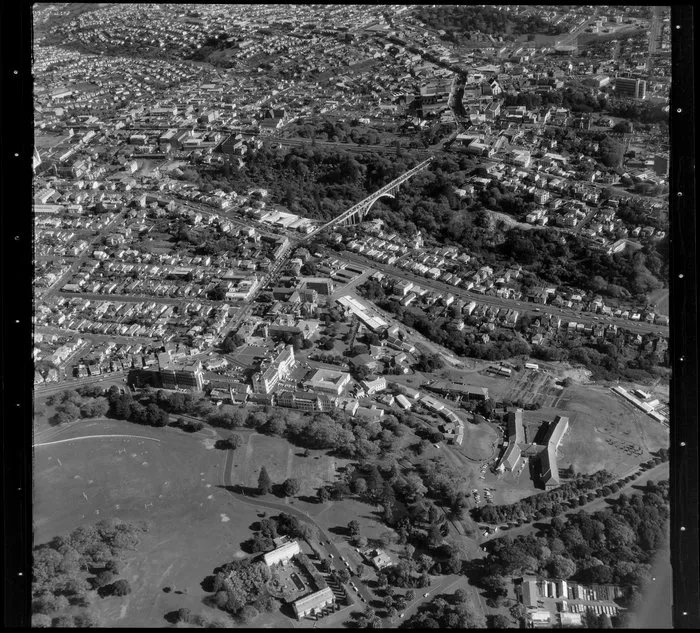 Grafton, Auckland, includes Auckland City Hospital and Grafton Bridge