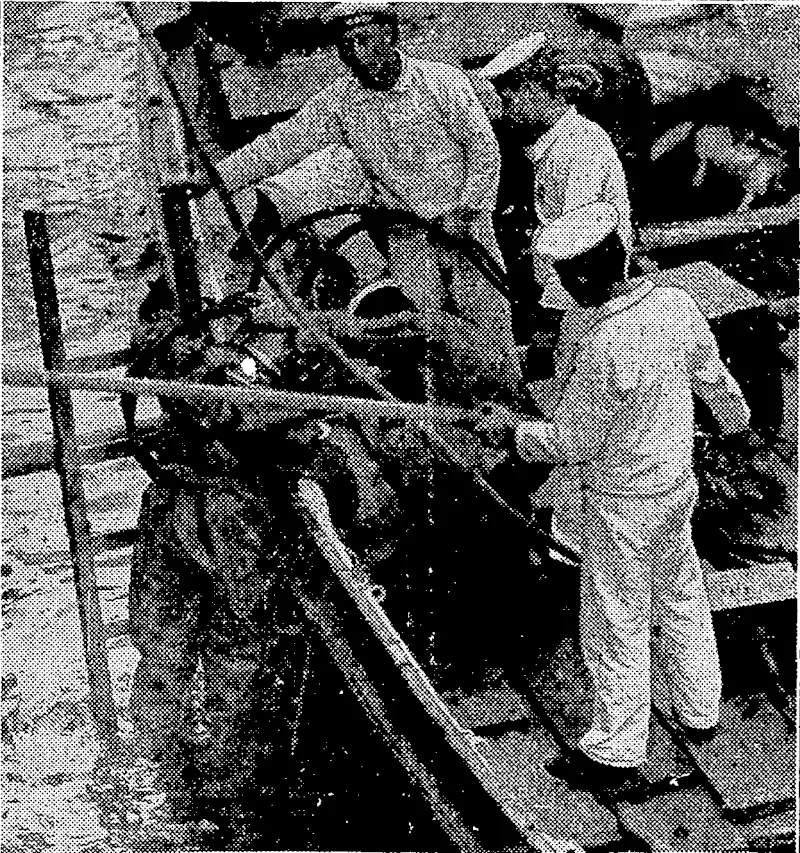 S, P. Andrew Photo. MR. J. QSBORNE-LILLY, a 'wellknown lawyer, who. died recently He ivfls at one time captain-of the Petone Navals. \CABMiS:bAyj^i:it;^r^r;'Ambassador to Washington,:who is one of the leaders of .the-revolution in Chile. • --'.'■' "Evening Post". Photo. JAPANESE DIVER'AT WORK.—During the.few days the Japanese training squadron was in Wellington last week opportunity was taken to.examine the hulls of the two cruisers. A Japanese diver'is shown entering the.water at Pipitea JFharf for this .purpose. (Evening Post, 06 June 1932)