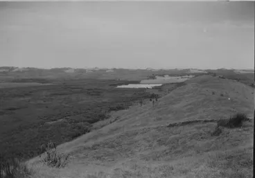 Dune Belt West of Lake Horowhenua Image: Dune Belt West of Lake Horowhenua