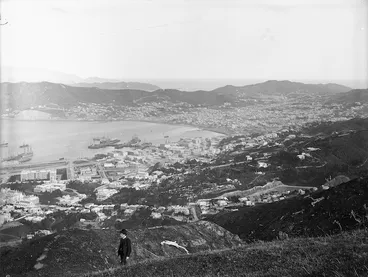 Image: View of Wellington City