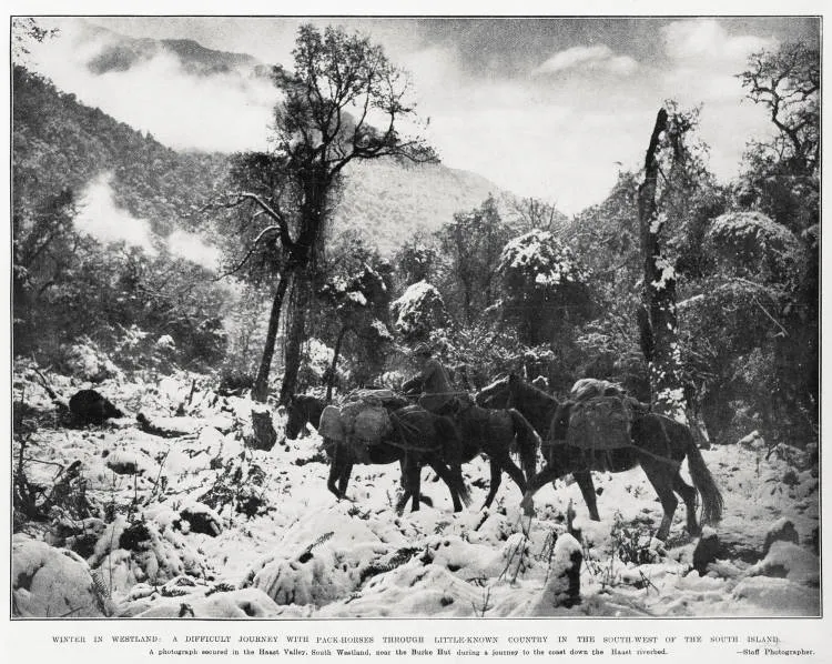 Winter in Westland: a difficult journey with pack-horses through little-known country in the South-West of the South Island