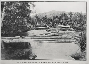 Image: Off To The Mill