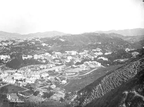 Elevated view ofTinakori Road