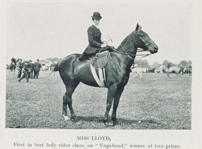 Miss Lloyd, first in best lady rider class, on 'Vagabond,' winner of two prizes