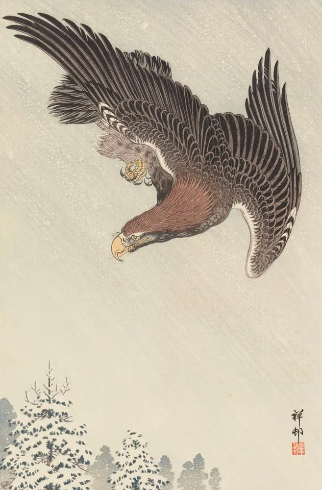 Eagle in flight against a snowy sky