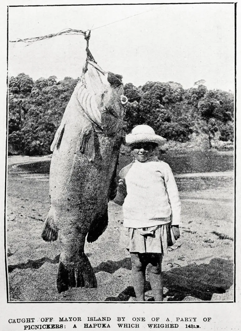 Caught off Mayor Island by one of a party of picnickers: Hapuka which weighed 143lb